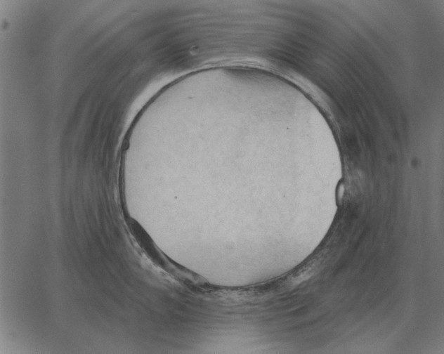 X0000062891102200602101735