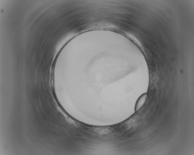 X0000062891103200602101735