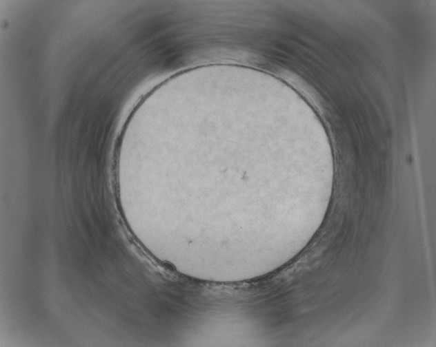 X0000062891104200602101735