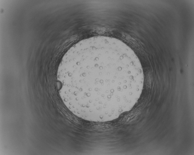 X0000062891105200602101734