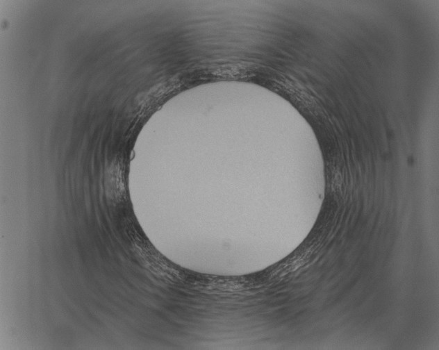 X0000062891106200602101734