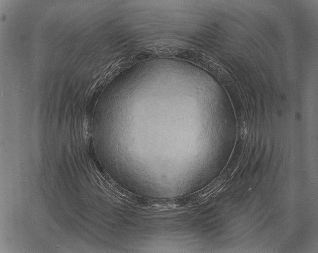 X0000062891108200602101734