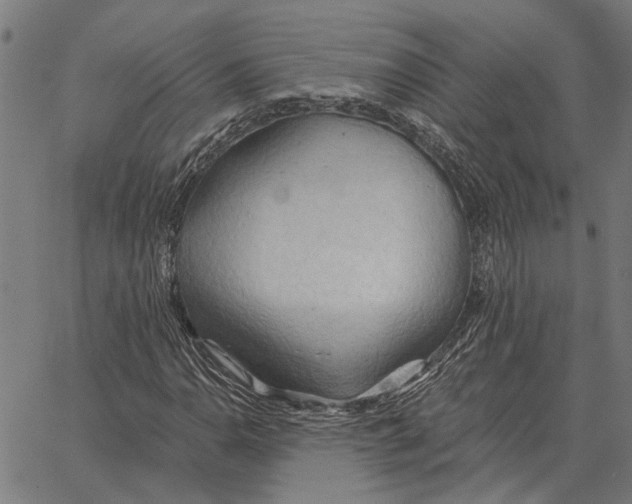 X0000062891110200602101734