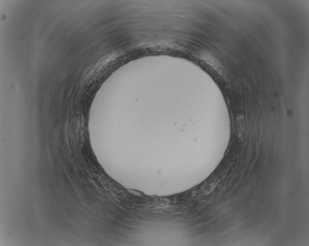 X0000062891111200602101734