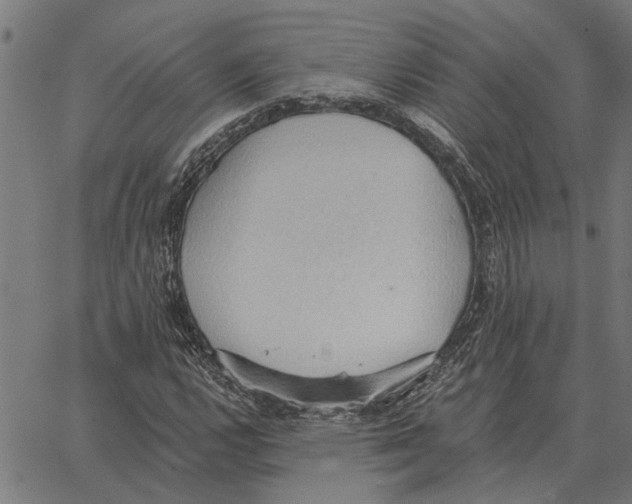 X0000062891112200602101734