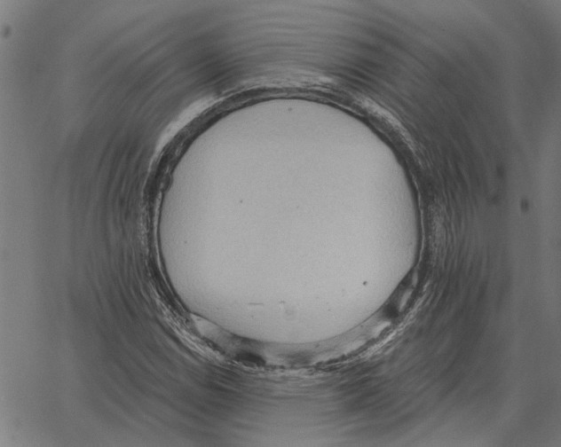 X0000062891114200602101734