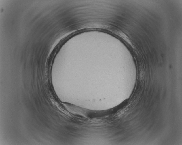 X0000062891116200602101734