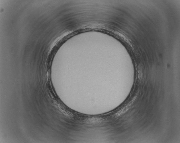 X0000062891117200602101734