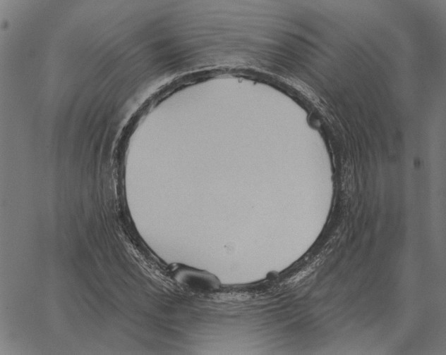 X0000062891118200602101734