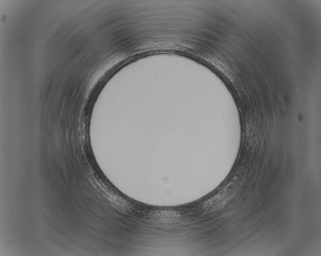 X0000062891119200602101734