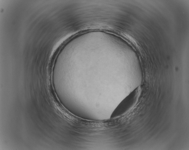 X0000062891120200602101734