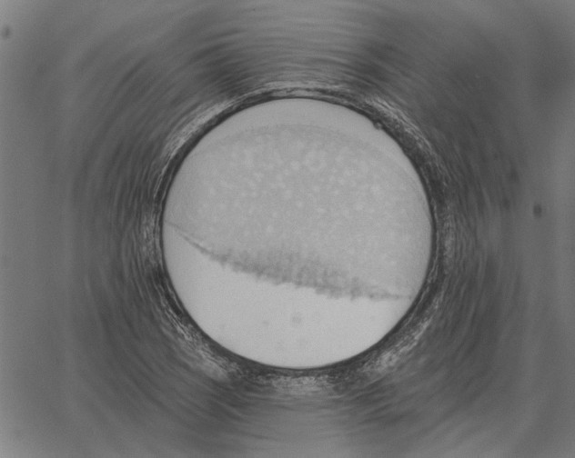 X0000062891121200602101734