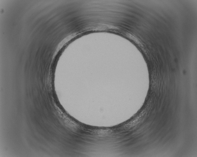 X0000062891122200602101734