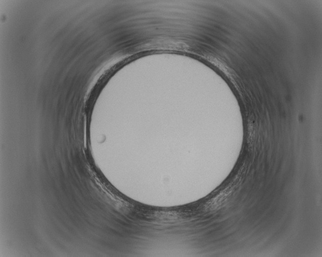 X0000062891123200602101734