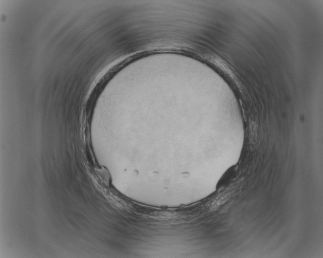 X0000062891124200602101734