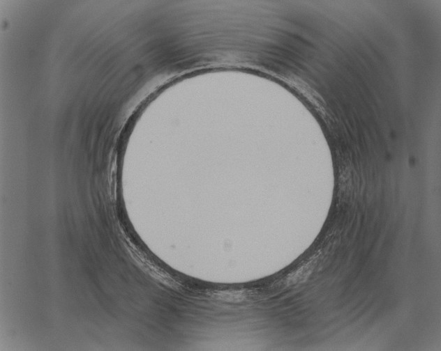 X0000062891126200602101734