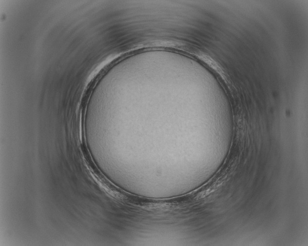 X0000062891127200602101734