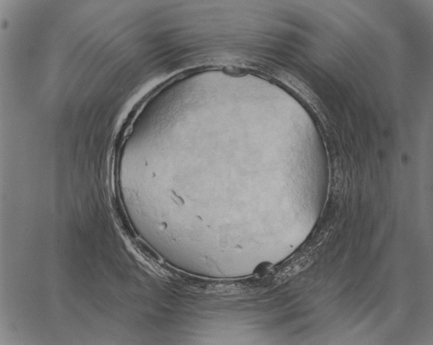 X0000062891128200602101734