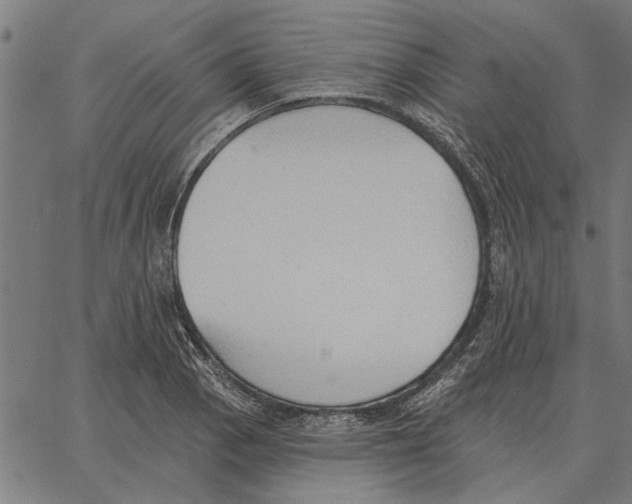 X0000062891129200602101734