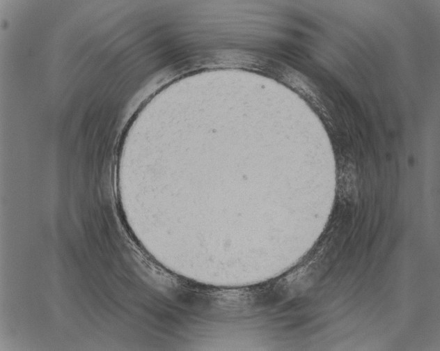 X0000062891130200602101734