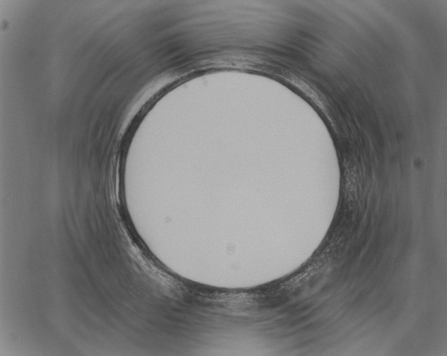 X0000062891131200602101734