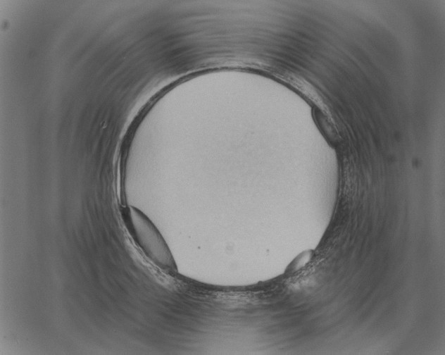 X0000062891132200602101735