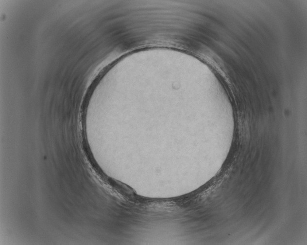 X0000062891133200602101735