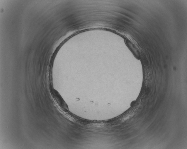 X0000062891134200602101735