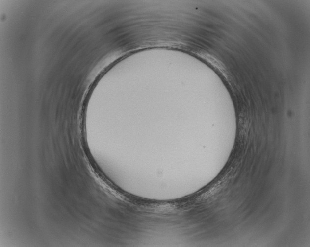 X0000062891135200602101735