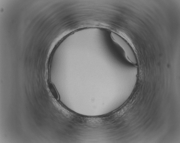 X0000062891136200602101735