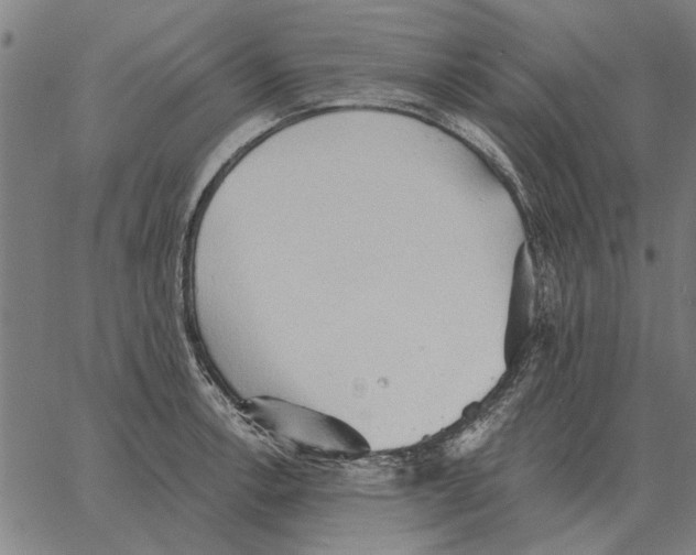 X0000062891138200602101735