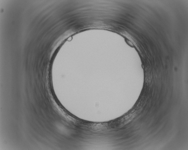 X0000062891139200602101735