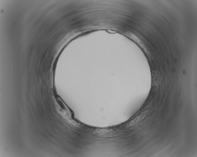 X0000062891140200602101735