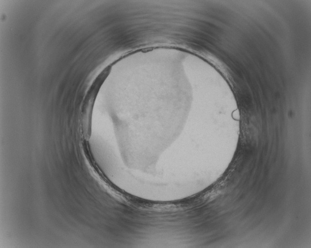 X0000062891142200602101735