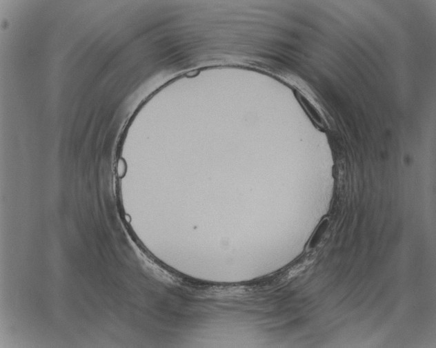 X0000062891143200602101735