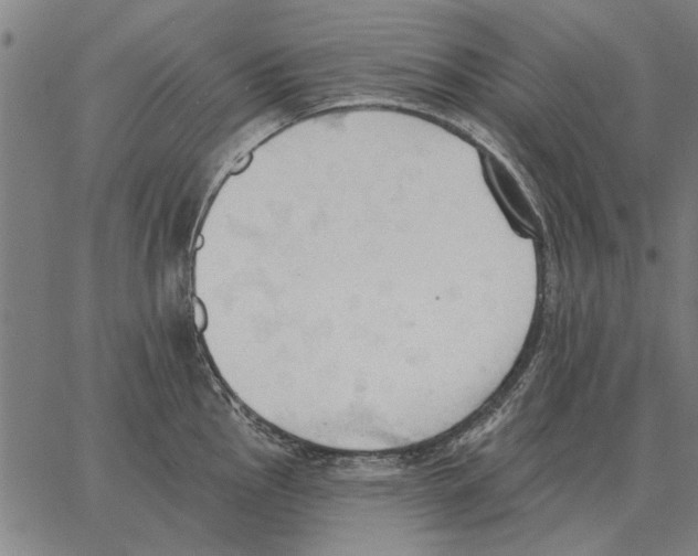 X0000062891145200602101735