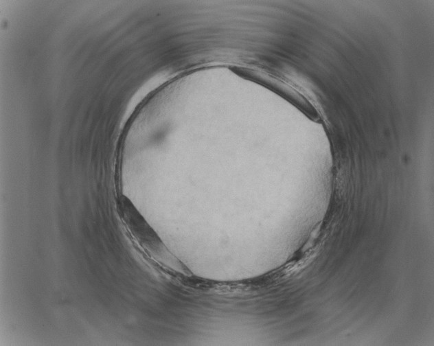 X0000062891146200602101735