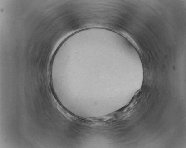 X0000062891148200602101735