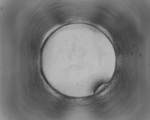 X0000062891149200602101735