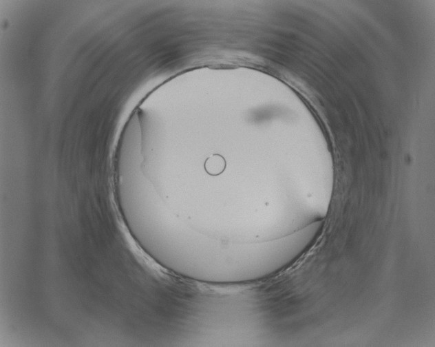 X0000062891152200602101735