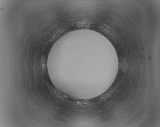 X0000062891154200602101734