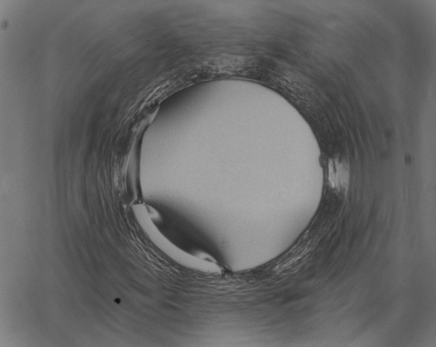 X0000062891155200602101734