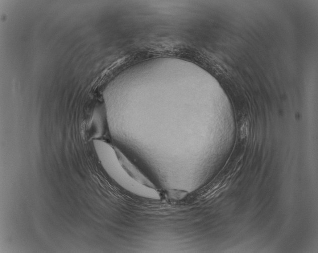 X0000062891156200602101734