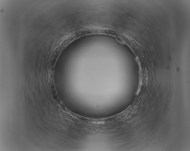 X0000062891157200602101734