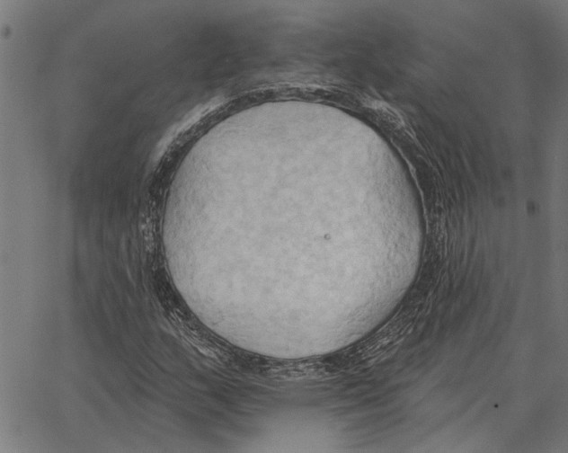 X0000062891159200602101734