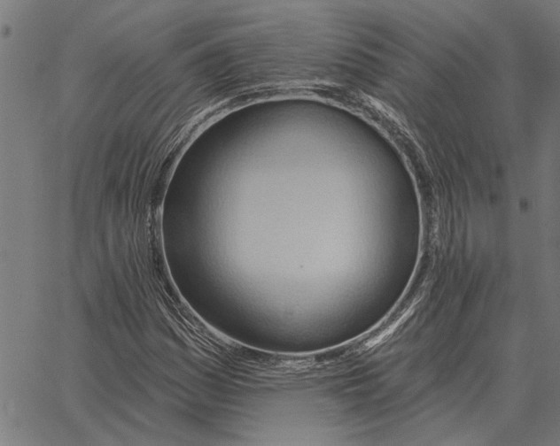 X0000062891161200602101734