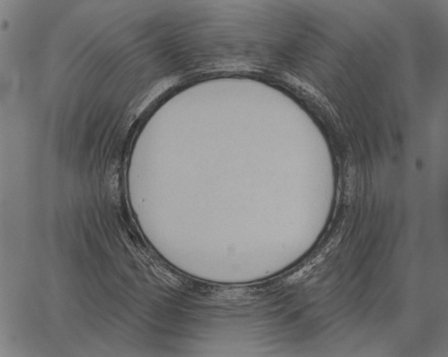 X0000062891162200602101734