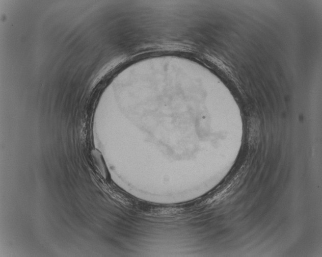 X0000062891163200602101734