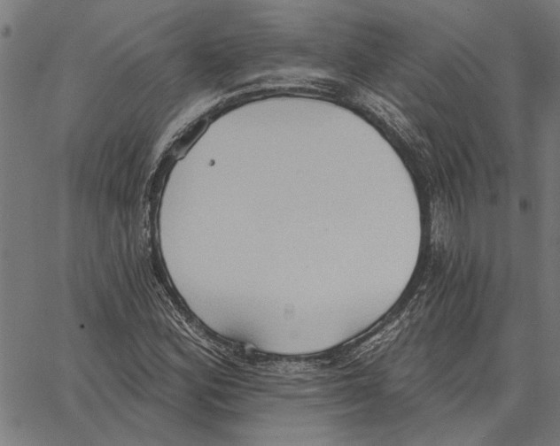 X0000062891164200602101734