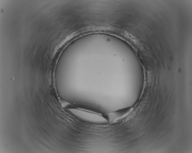 X0000062891165200602101734